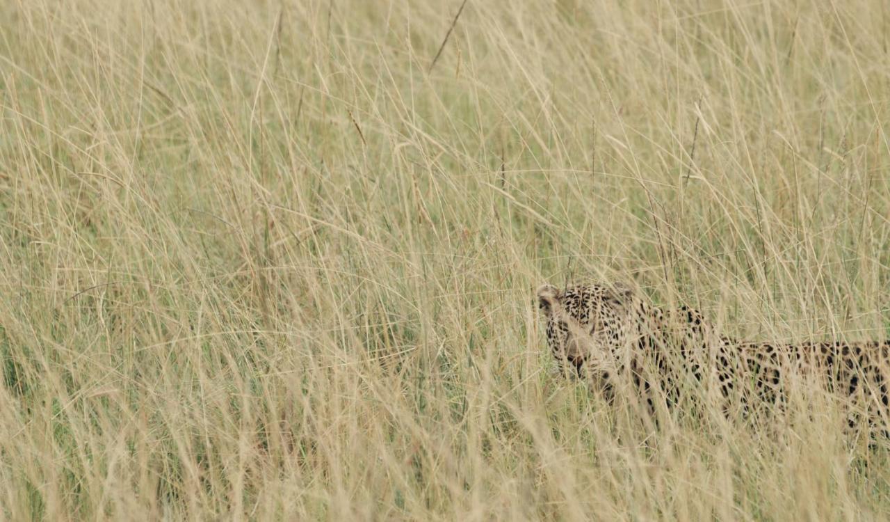 Ololo Safari Lodge Nairobi Ngoại thất bức ảnh