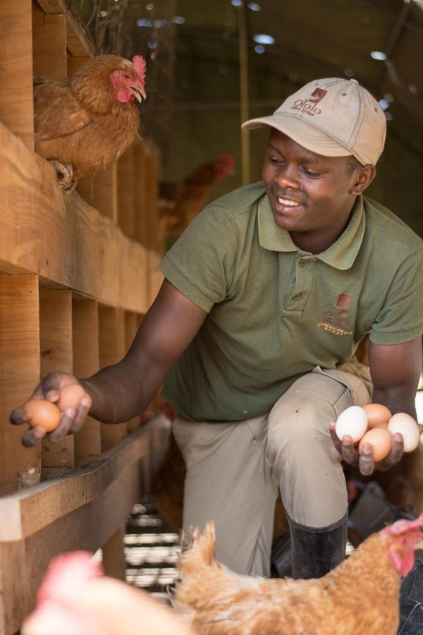 Ololo Safari Lodge Nairobi Ngoại thất bức ảnh
